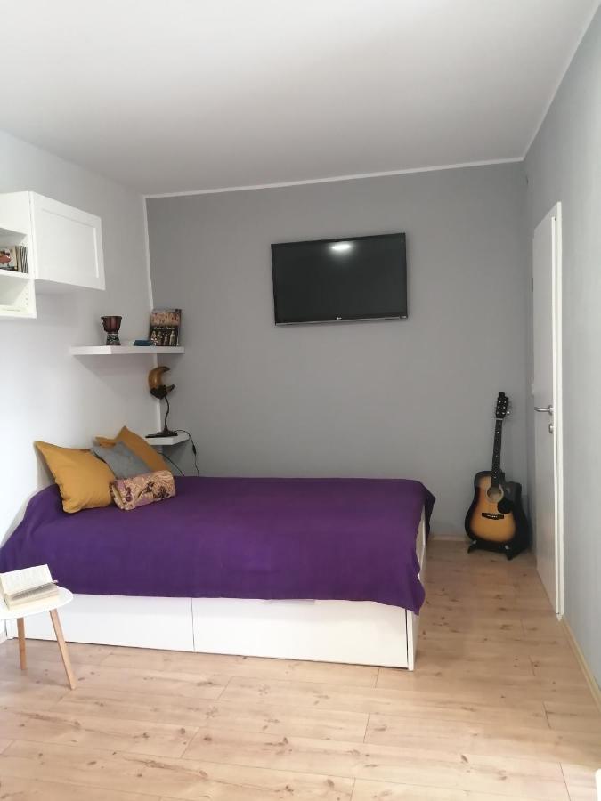 Studio Apartman "Nicole" بولا المظهر الخارجي الصورة
